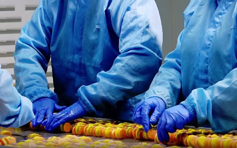 With the support of an experienced R&D team, we can develop new soft candy products such as low-sugar, vegetarian, and allergen-free, helping to differentiate the brand in competition.