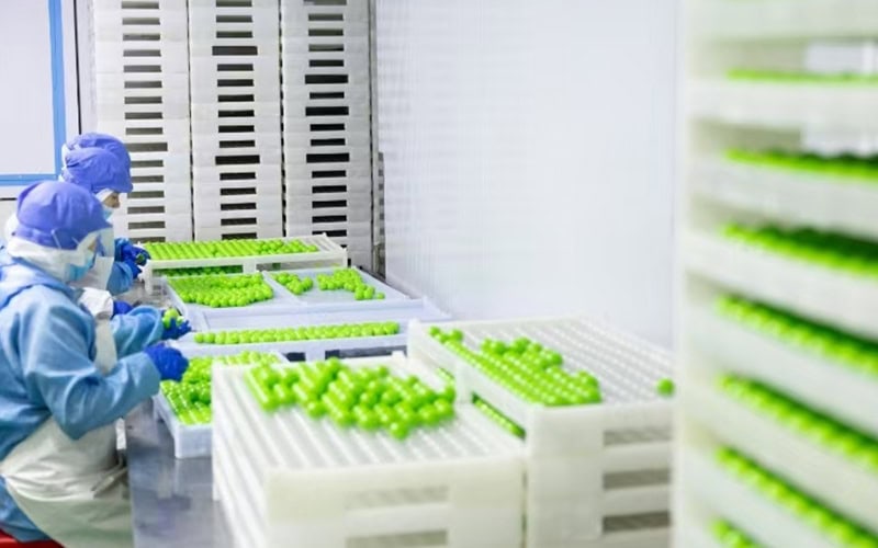 We provide a full chain of services from formula development to finished product delivery, providing scientifically formulated taste optimization solutions to meet the hardness and flavor preferences of soft candies in different markets.