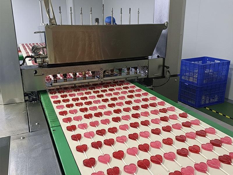 As experienced manufacturers of Chinese festive confectionery, we are experts in seamlessly blending traditional cultural symbols with modern tastes.