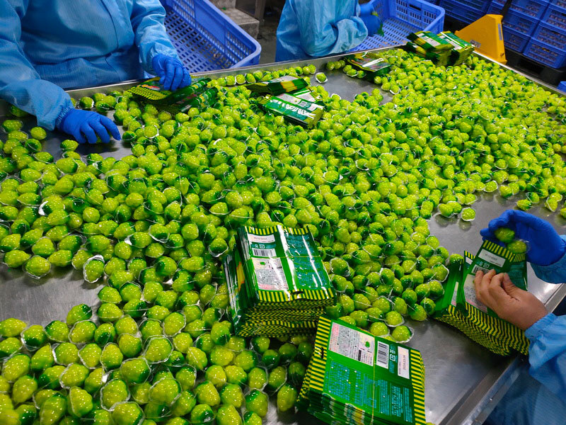 Step into our world as a gummy candy manufacturer! Each piece is molded to perfection, delivering the ideal texture and chewiness.