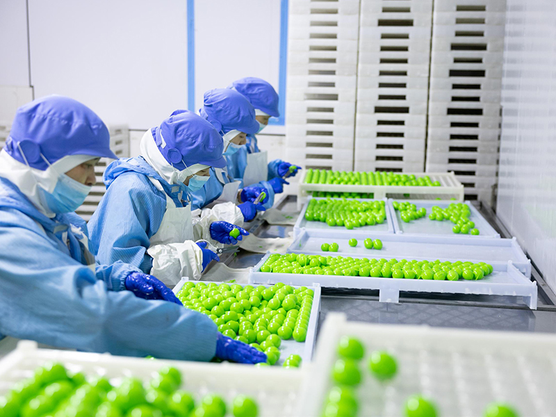Vous fournir des services de R&D, de production et d'approvisionnement en bonbons chauds