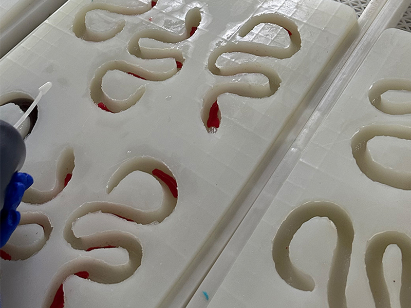 Custom giant gummy manufacturer developing large novelty gummy shapes